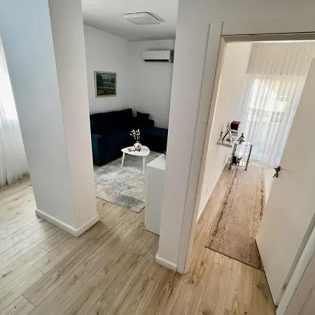 Palmas 717 دراس